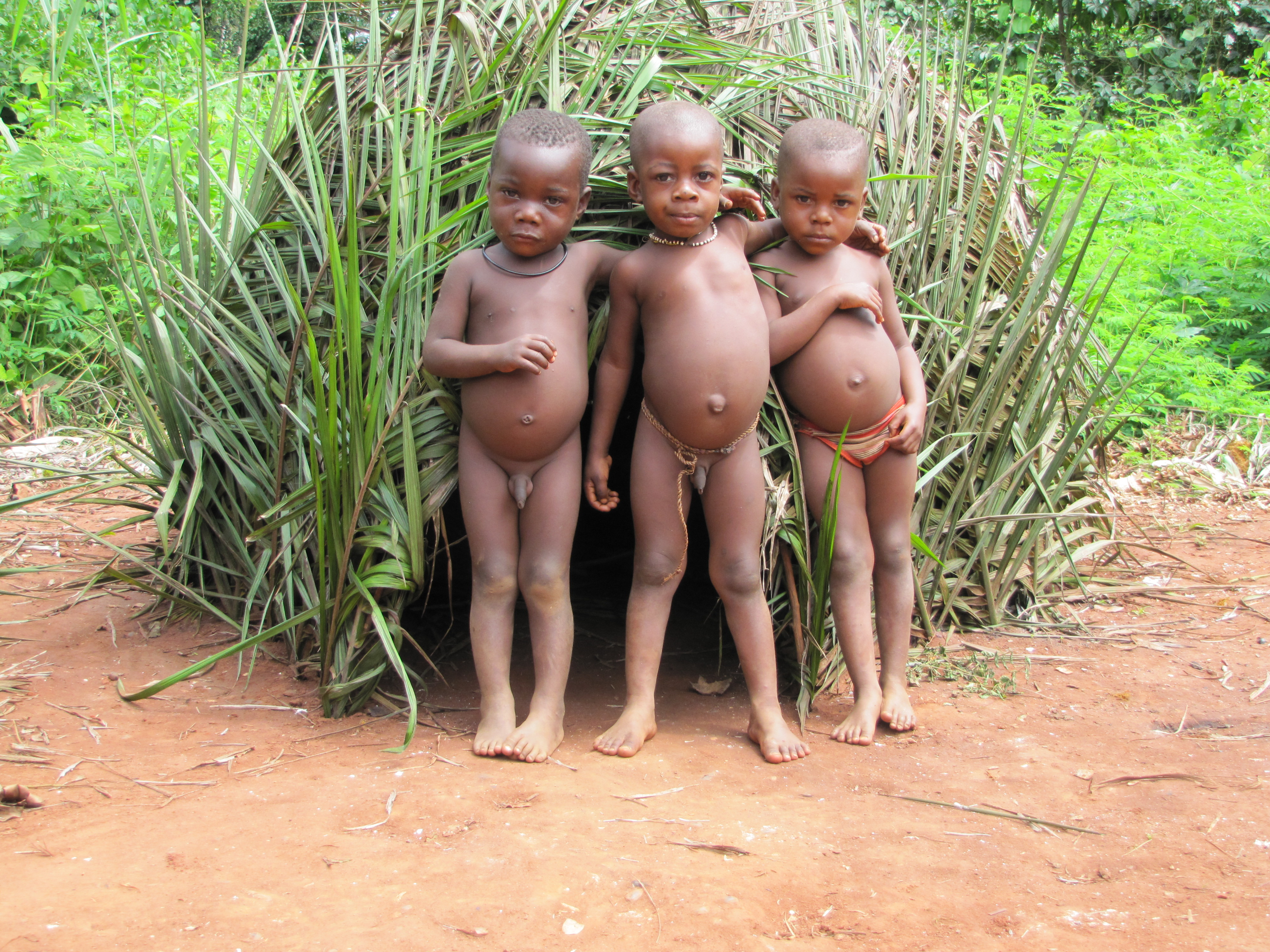 Figure 4 Little Aka children copy